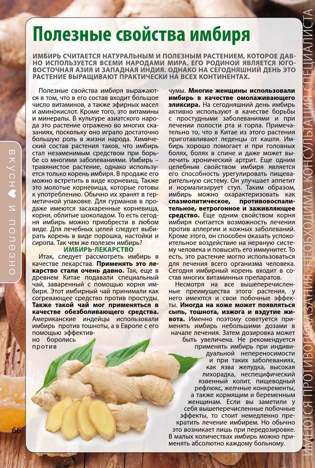 12 напитков из имбиря. горячий и холодный имбирный напиток