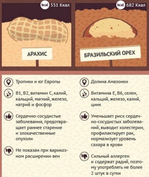 Бразильский орех: польза и вред для организма человека