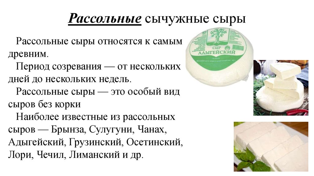Всё, что нужно знать о сыре