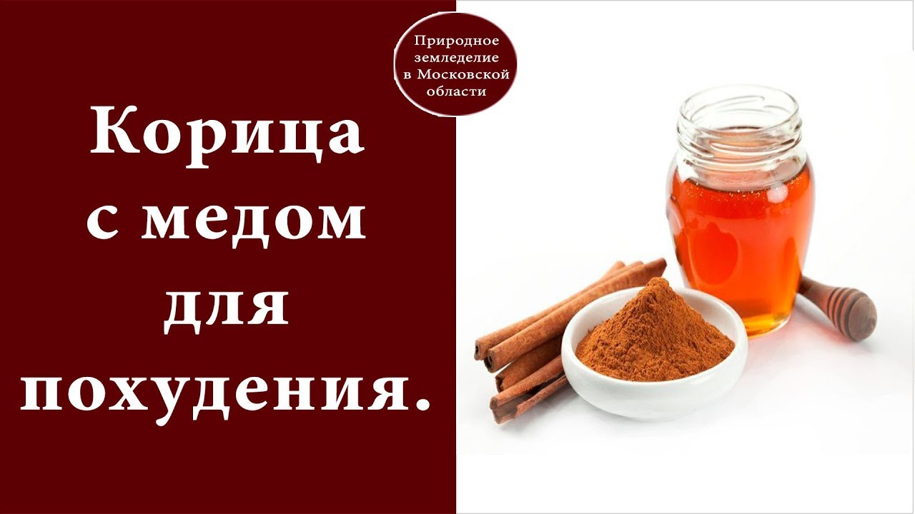 Корица с медом для похудения- польза и рецепты напитка