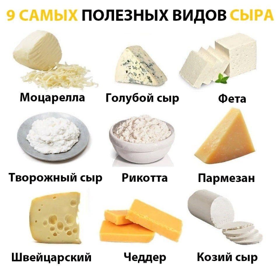 Сыр пармезан: фото, польза, состав, откуда родом, как делают и из какого молока