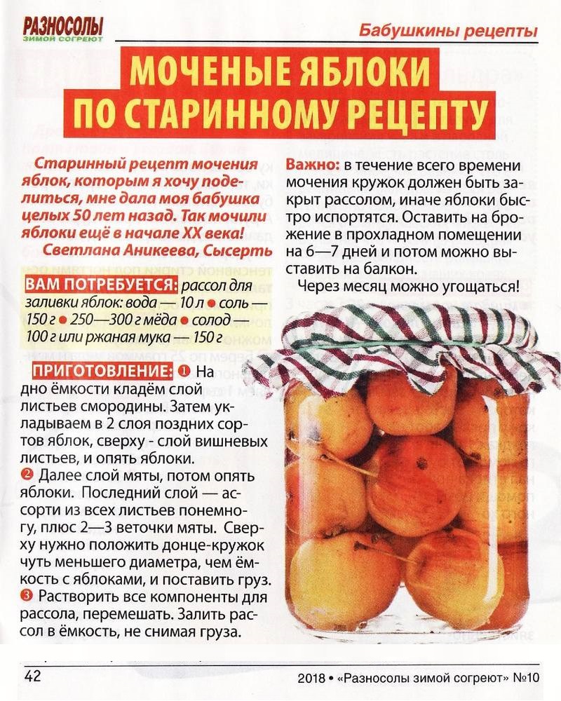 Самые вкусные моченые яблоки: 6 рецептов на любой вкус