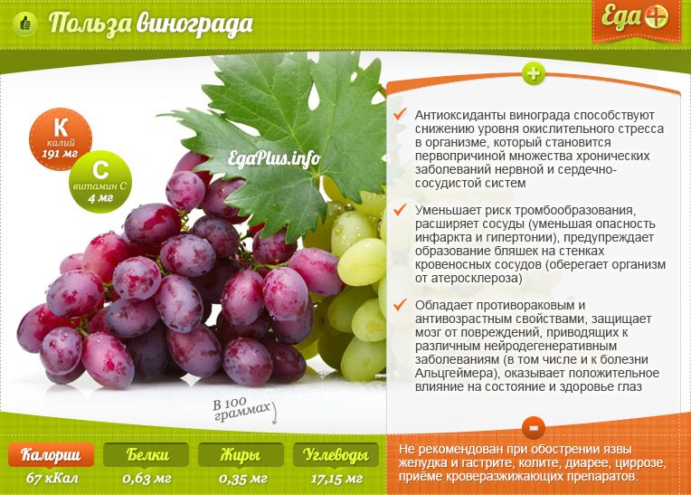 Чем полезен и вреден виноград для организма человека и почему