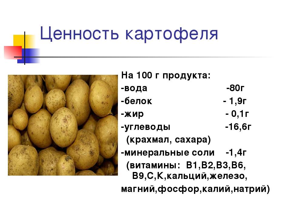 Картофель бжу и кбжу на 100 грамм: вареного, пюре, жареного, сырого, запеченного, молодого