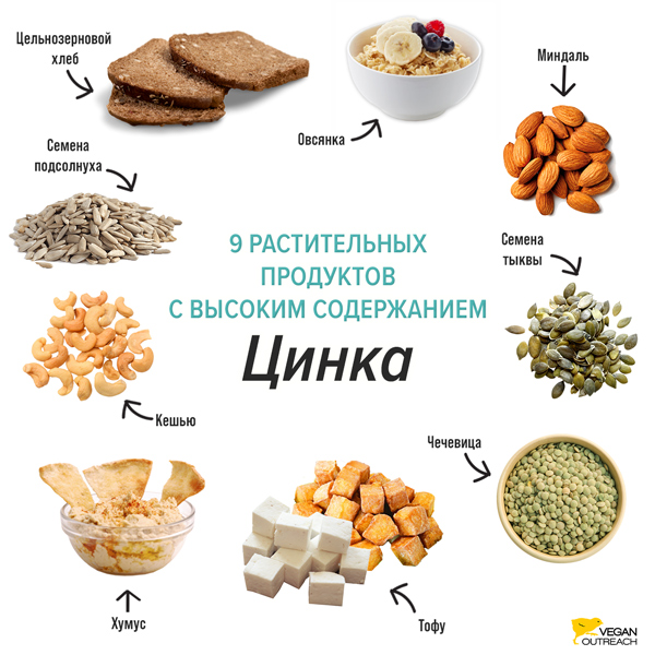 Еще раз о здоровой еде какие продукты богаты цинком где его содержание выше всего Почему нужно включать этот минерал в свой рацион Ответы на эти и другие вопросы в нашей статье