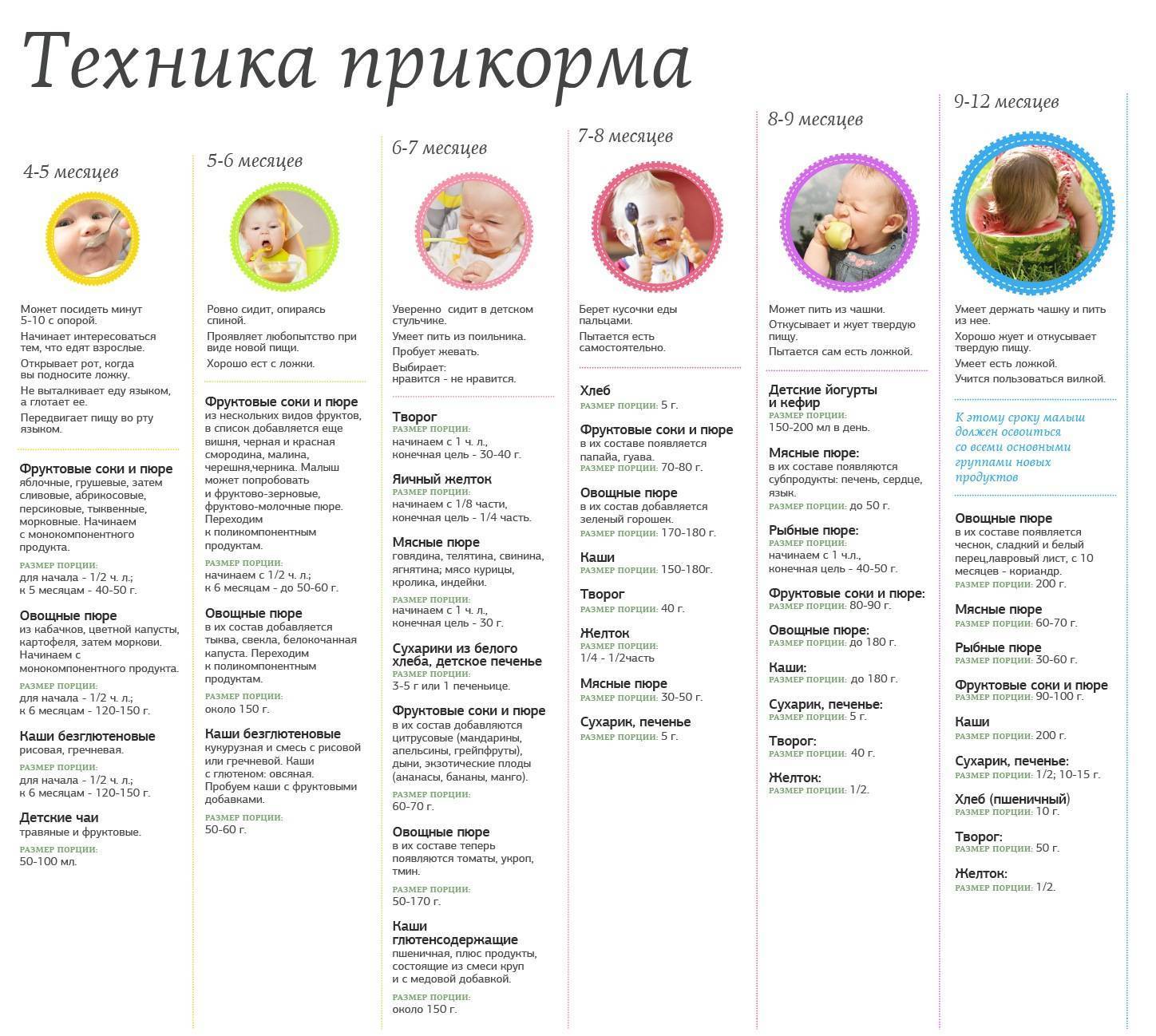 Питание ребенка. важные группы продуктов | статьи – similac
