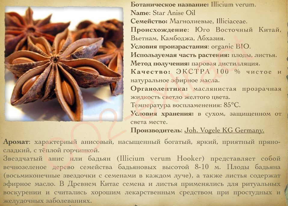 Анис | специи, ароматные травы | про еду | кулинарная школа | интернет-портал дао здоровья – все о здоровом образе жизни