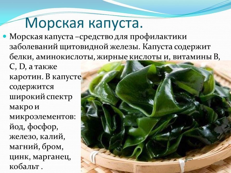 Какую морскую капусту лучше покупать