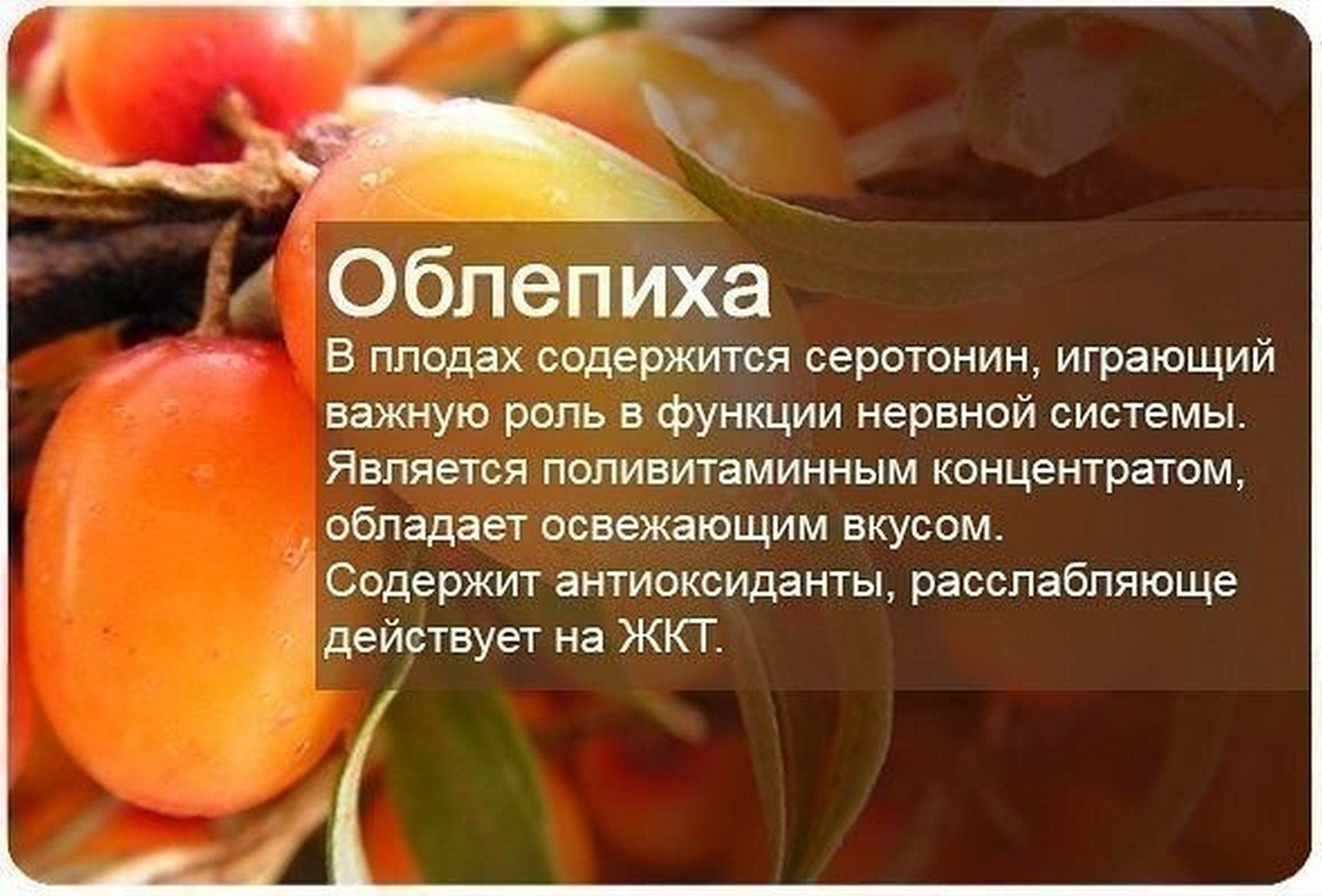 Самые калорийные продукты: список, таблица, мнение диетологов - 7дней.ру