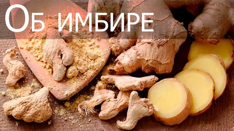 Имбирь – полезные свойства, рецепты, кому нельзя есть имбирь