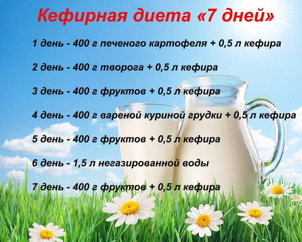Кальмары для похудения: можно ли есть сушеные, калорийность, рецепты салатов, других блюд | xn--90acxpqg.xn--p1ai