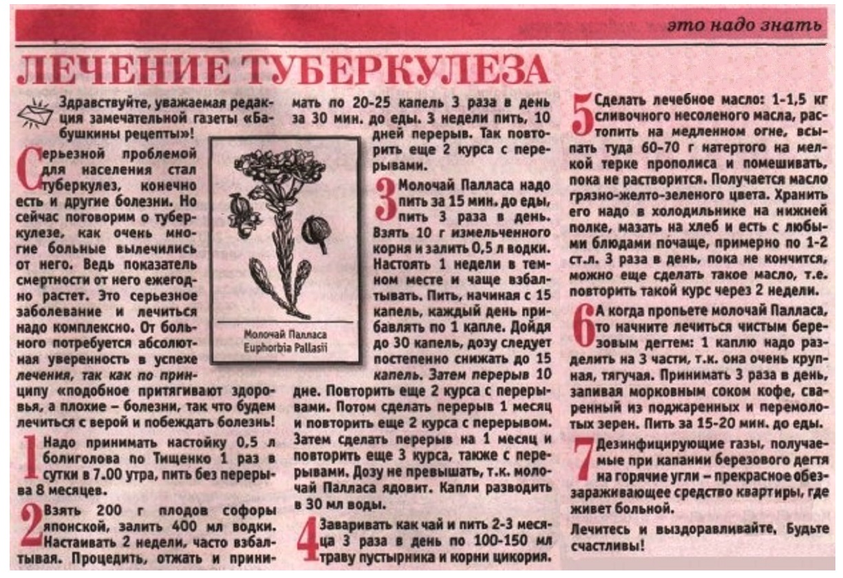 Мед, сода и масло от гайморита: 3 рецепта средства в домашних условиях для лечения насморка, отзывы