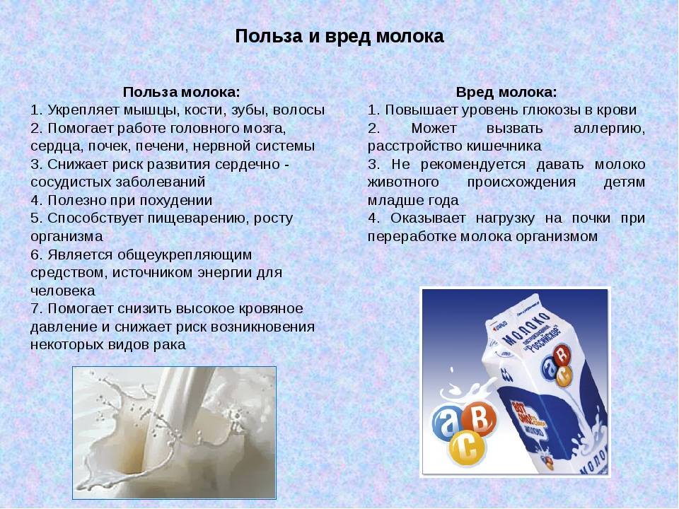 Напиток снежок — чем полезен сладкий молочный продукт