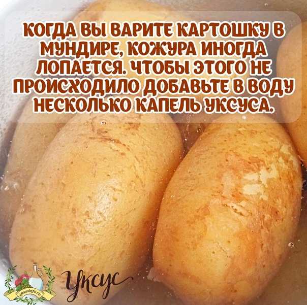 Можно ли хранить картошку в холодильнике: почему может быть нельзя, сколько можно ее там держать, можно ли оставлять в морозильной камере, как лучше сохранить