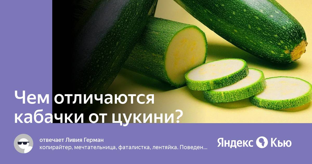 Жареные кабачки с чесноком – 8 простых рецептов вкусной закуски на сковороде